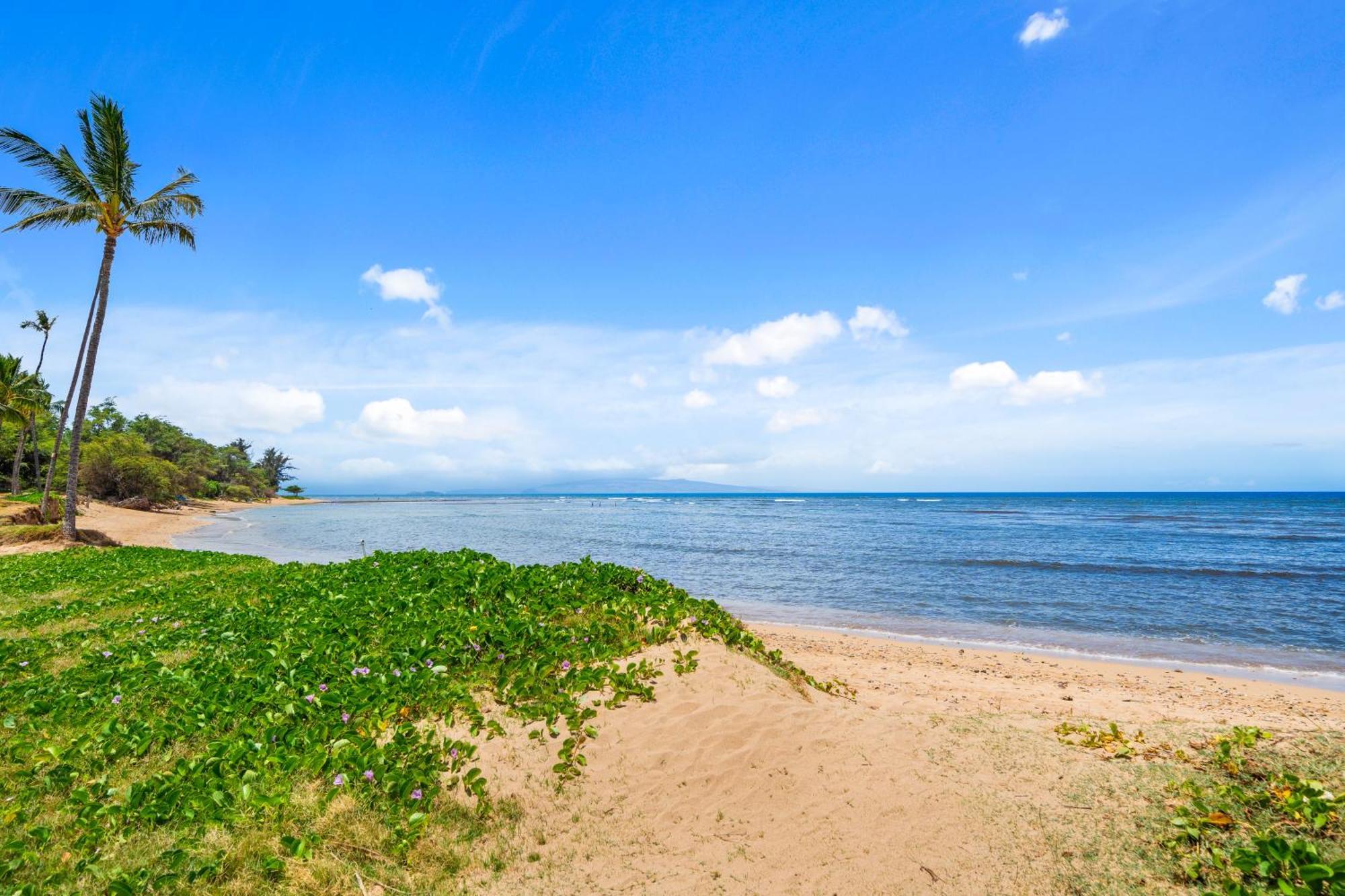 Maui Schooner Resort Kihei Eksteriør bilde