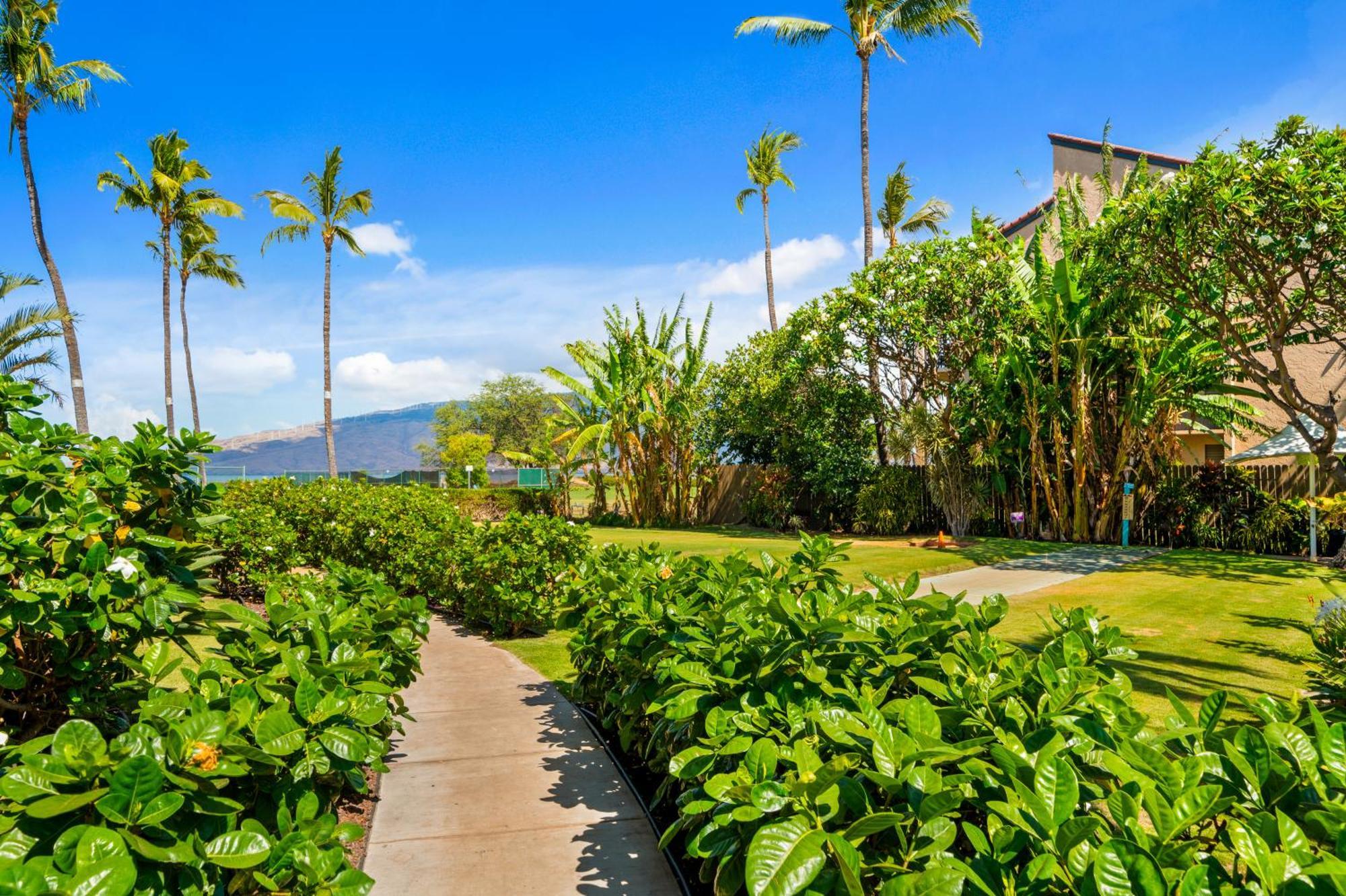 Maui Schooner Resort Kihei Eksteriør bilde