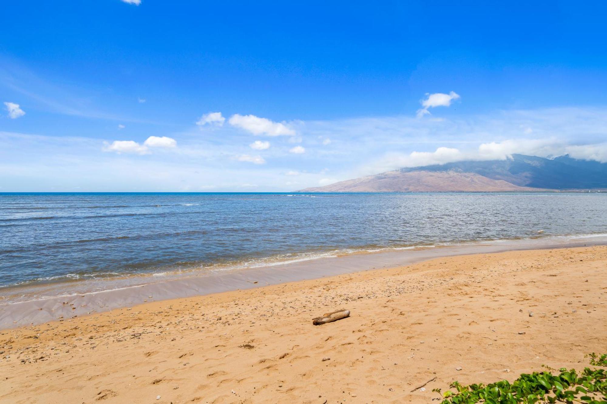 Maui Schooner Resort Kihei Eksteriør bilde